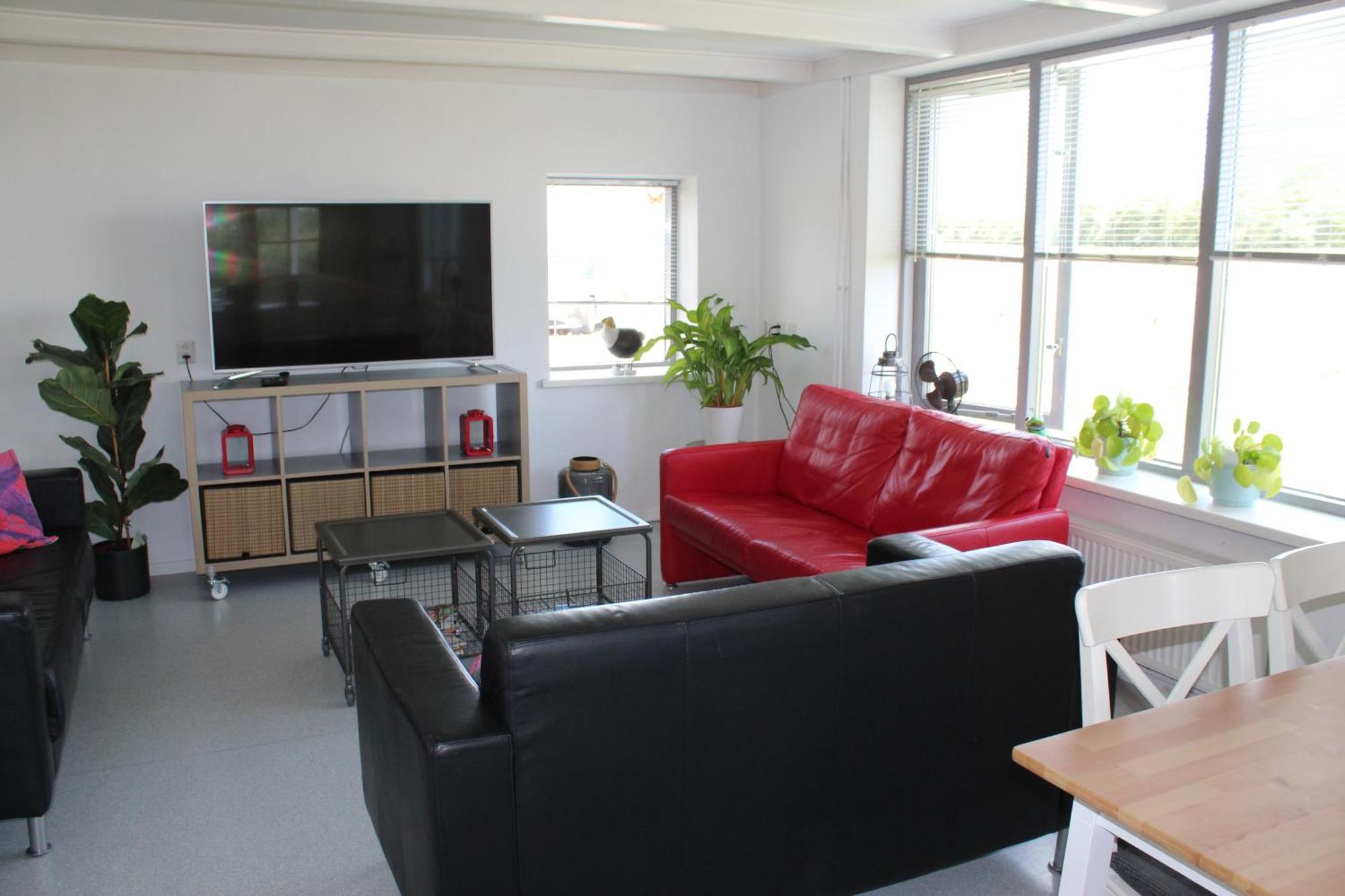 Vrijstaande Ruime Familiewoning Landelijk Gelegen Villa Lewedorp Luaran gambar